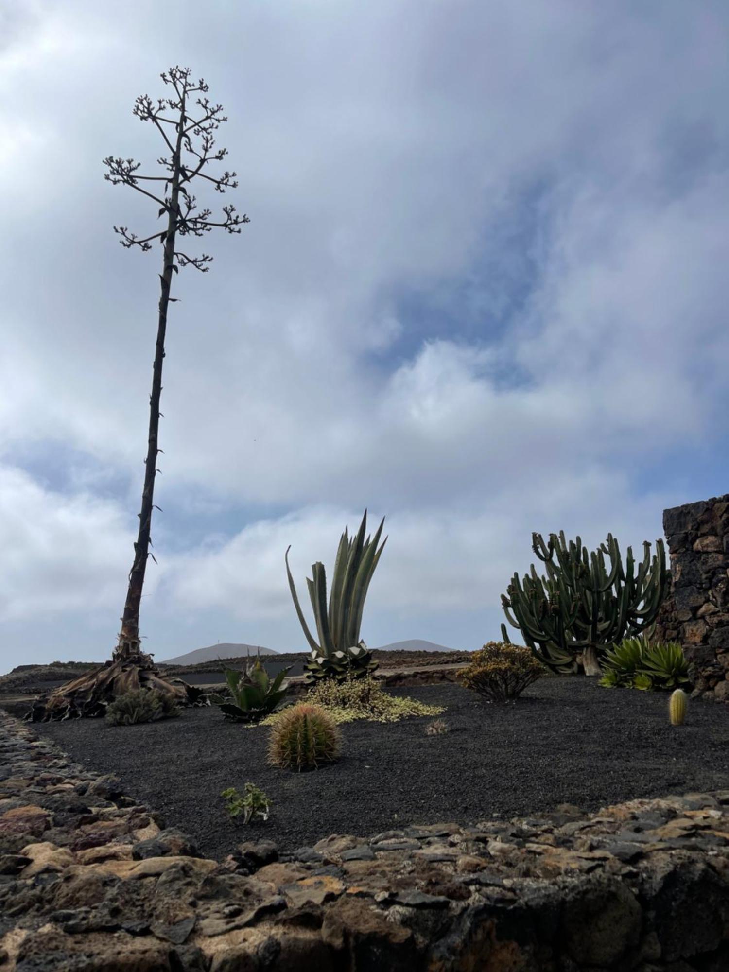 Villa Timanfaya Tinajo Exterior photo